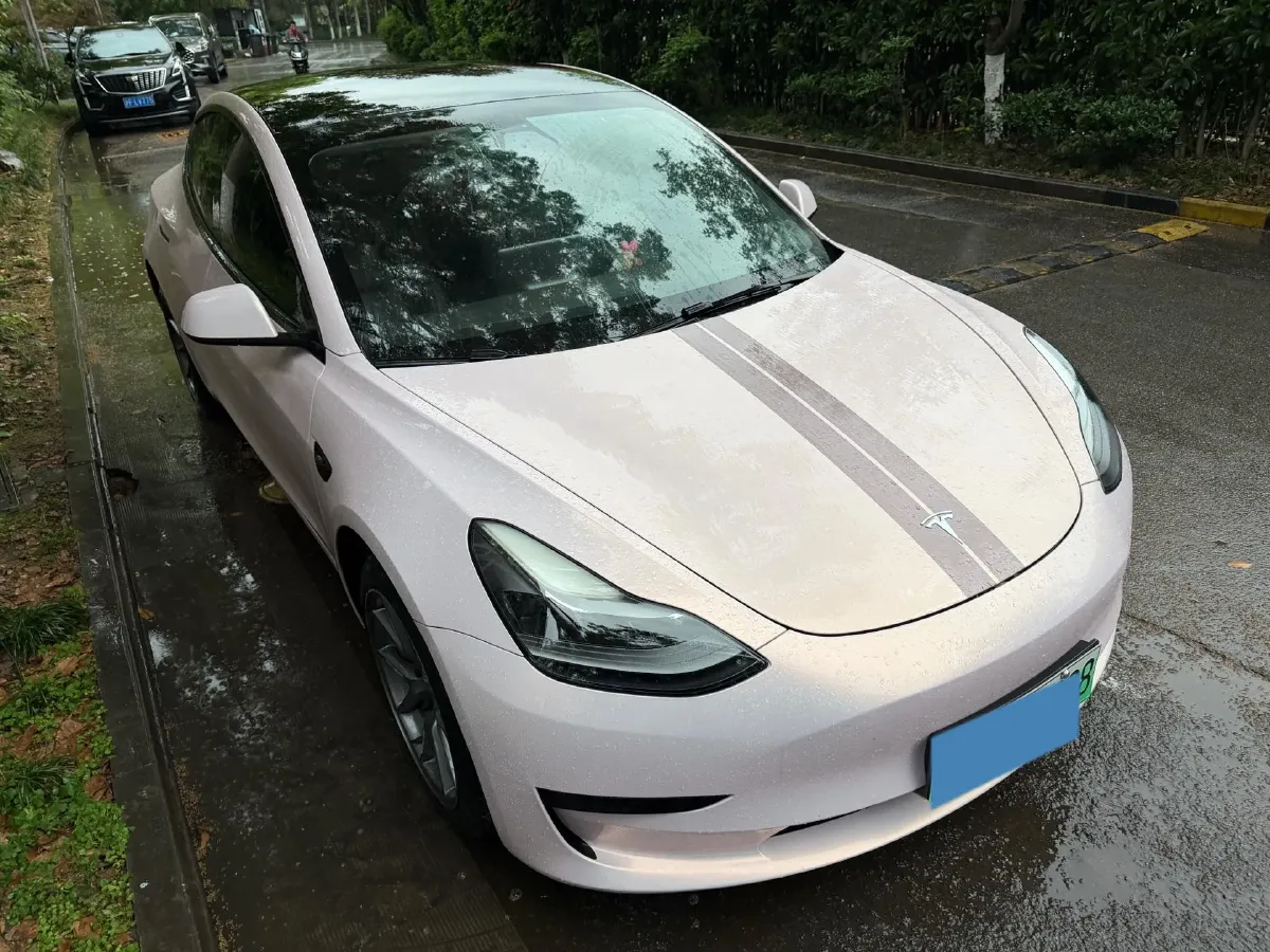 2021 Tesla Model 3 BEV 55KWH,autocango,china used car exporter,china ev exporter,chinese used car exporter,chinese used ev exporter