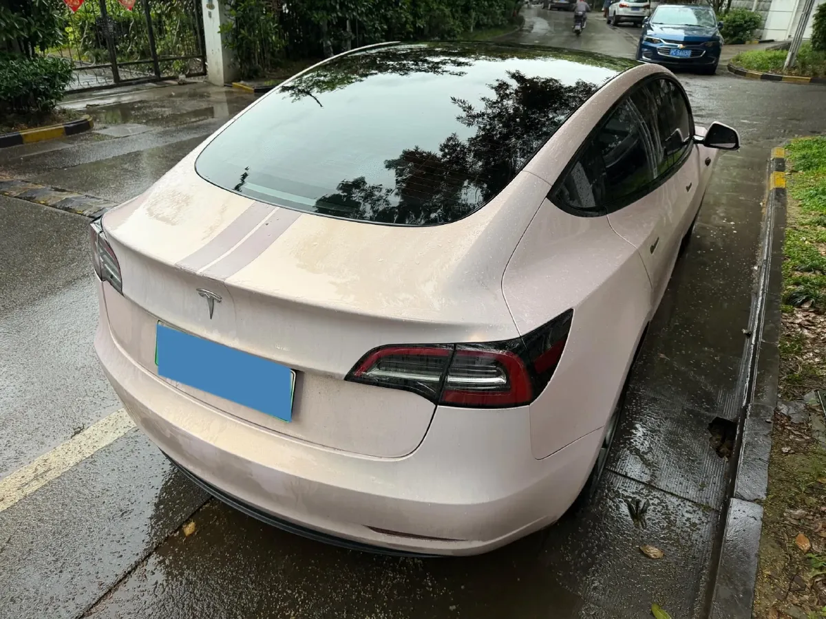 2021 Tesla Model 3 BEV 55KWH,autocango,china used car exporter,china ev exporter,chinese used car exporter,chinese used ev exporter