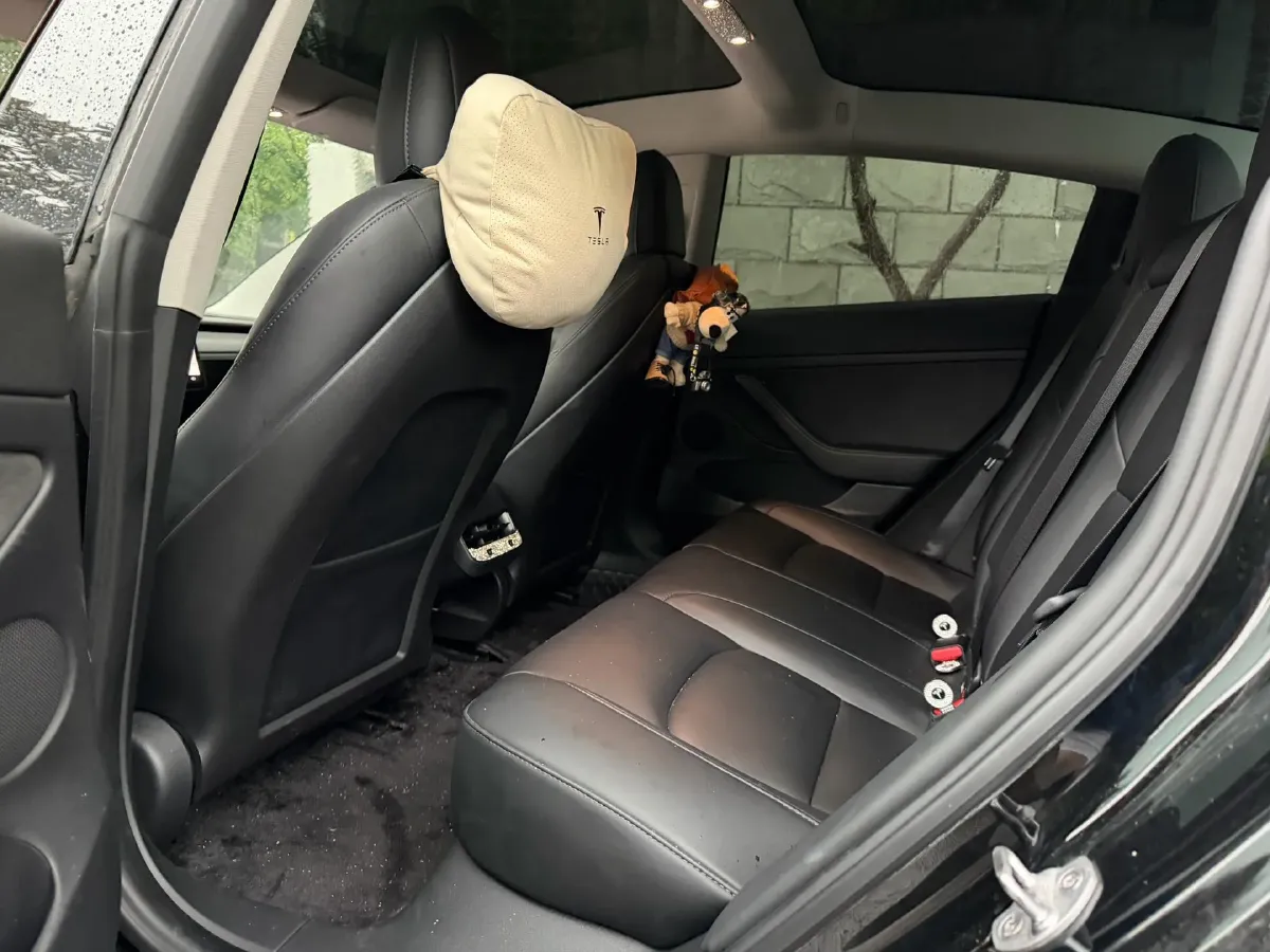 2021 Tesla Model 3 BEV 55KWH,autocango,china used car exporter,china ev exporter,chinese used car exporter,chinese used ev exporter