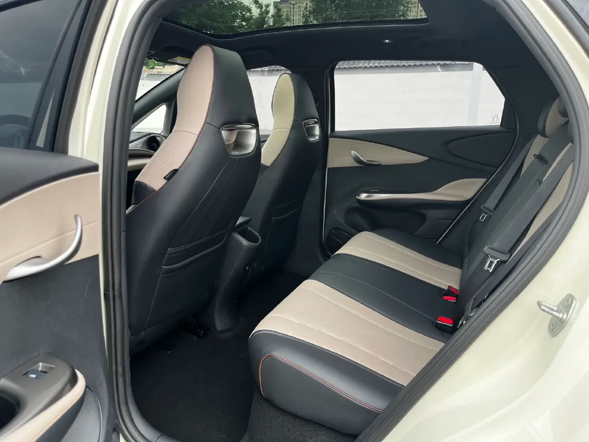 2023 BYD Dolphin BEV 44.928KWH,autocango,china used car exporter,china ev exporter,chinese used car exporter,chinese used ev exporter