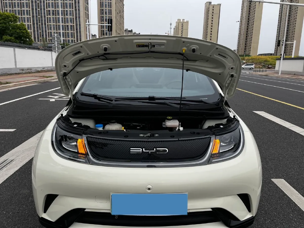 2023 BYD Dolphin BEV 44.928KWH,autocango,china used car exporter,china ev exporter,chinese used car exporter,chinese used ev exporter