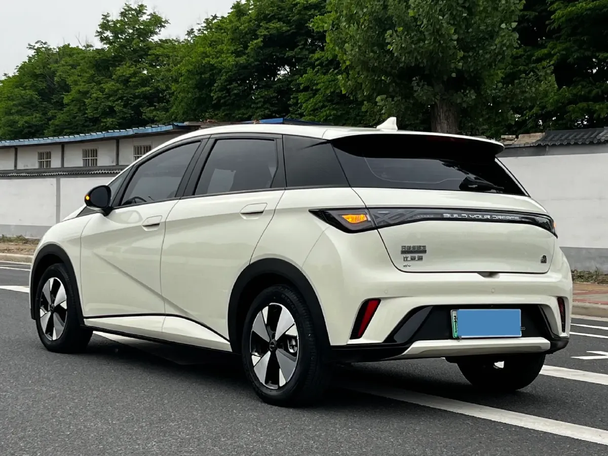 2023 BYD Dolphin BEV 44.928KWH,autocango,china used car exporter,china ev exporter,chinese used car exporter,chinese used ev exporter