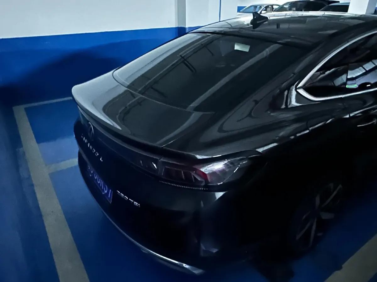 2022 Exceed TXL 2.0T 261HP L4 7DCT,autocango,china used car exporter,china ev exporter,chinese used car exporter,chinese used ev exporter