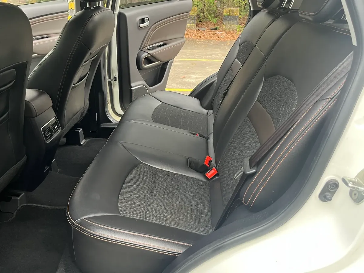 2017 Aion Trumpchi GE3 BEV 47KWH,autocango,china used car exporter,china ev exporter,chinese used car exporter,chinese used ev exporter