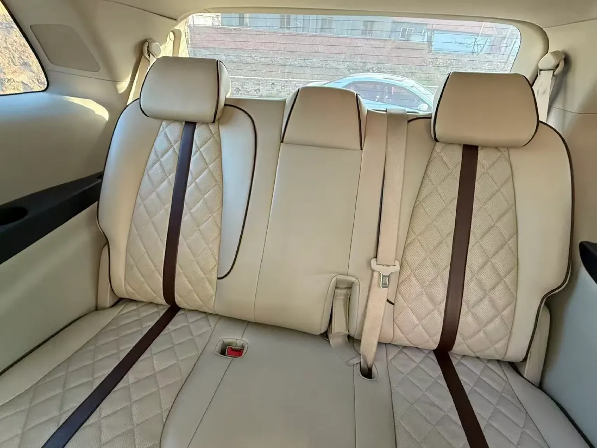 2021 Buick GL8 2.0T 237HP L4 9AT,autocango,china used car exporter,china ev exporter,chinese used car exporter,chinese used ev exporter