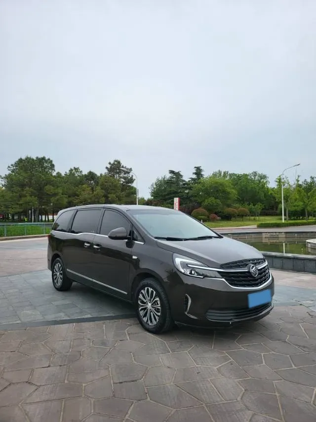 2021 Buick GL8 2.0T 237HP L4 9AT,autocango,china used car exporter,china ev exporter,chinese used car exporter,chinese used ev exporter