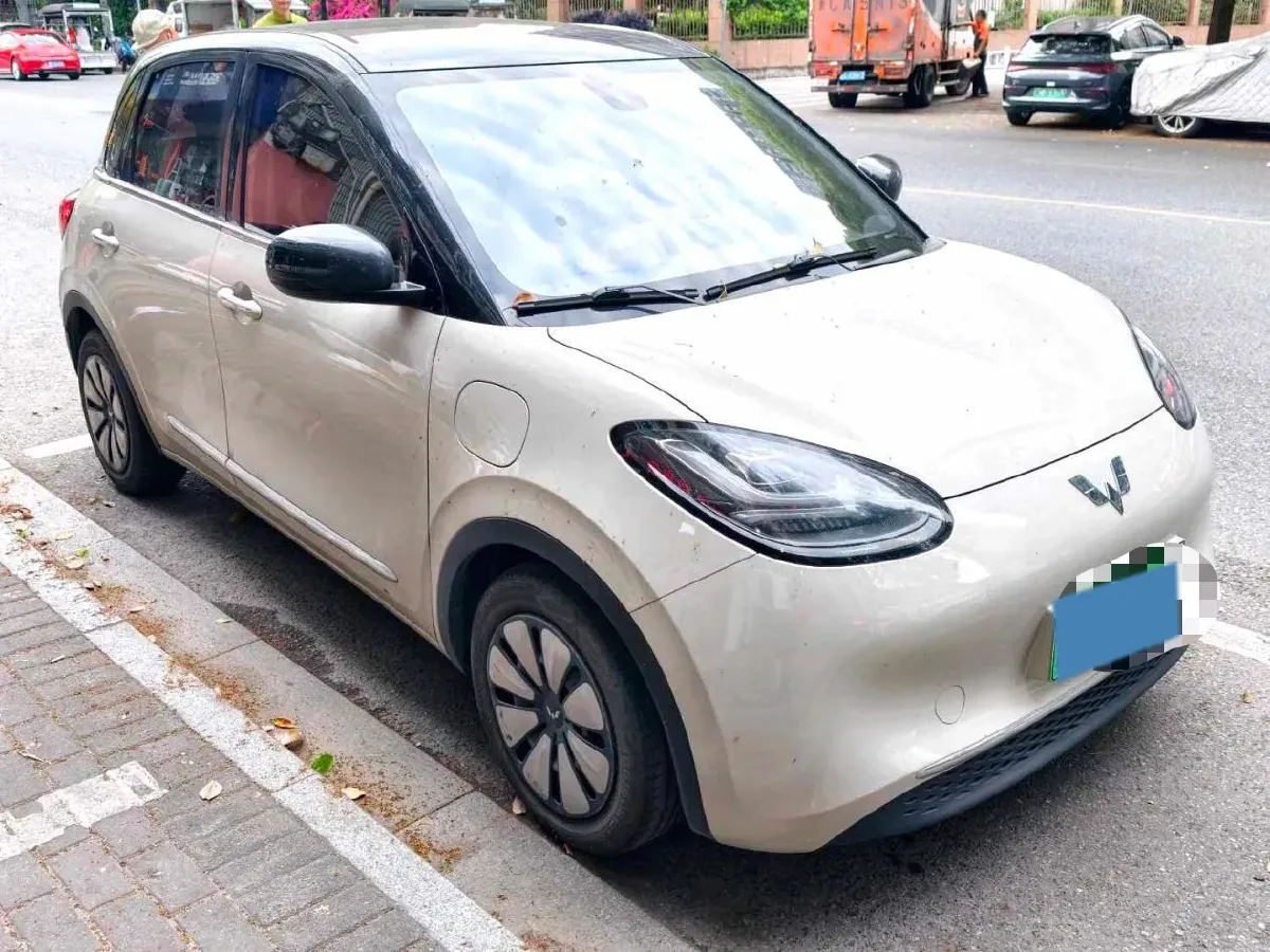 2023 WuLing BinGuo BEV 17.3KWH,autocango,china used car exporter,china ev exporter,chinese used car exporter,chinese used ev exporter