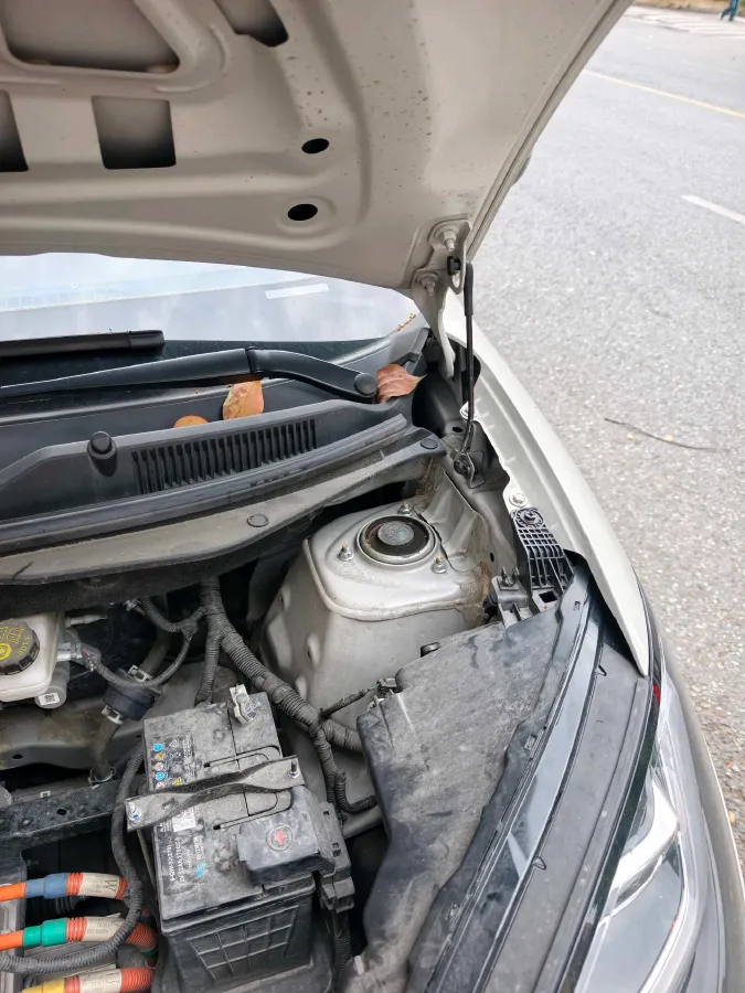 2023 WuLing BinGuo BEV 17.3KWH,autocango,china used car exporter,china ev exporter,chinese used car exporter,chinese used ev exporter