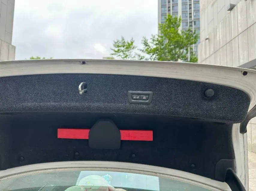 2020 BMW 3 Series 2.0T 184HP L4 8AT,autocango,china used car exporter,china ev exporter,chinese used car exporter,chinese used ev exporter