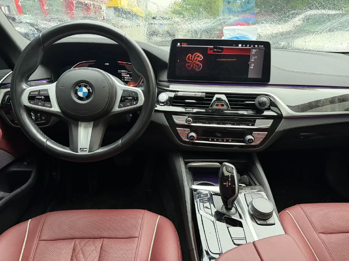 2021 BMW 5 Series 2.0T 184HP L4 8AT,autocango,china used car exporter,china ev exporter,chinese used car exporter,chinese used ev exporter