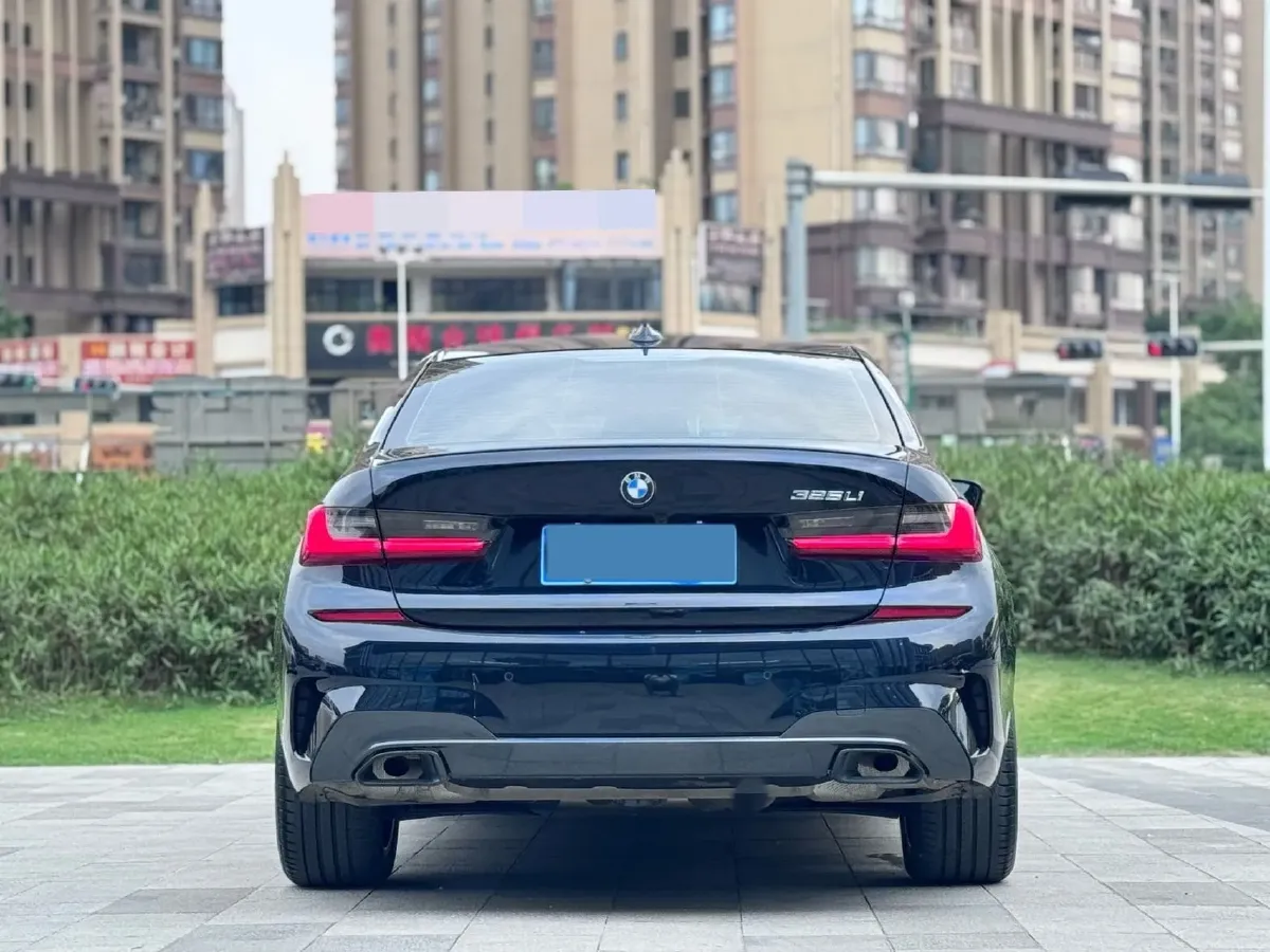 2021 BMW 3 Series 2.0T 184HP L4 8AT,autocango,china used car exporter,china ev exporter,chinese used car exporter,chinese used ev exporter