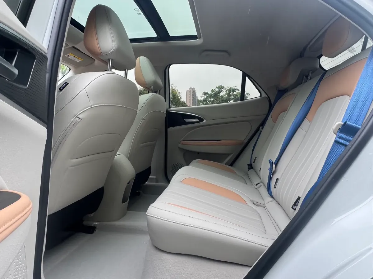 2024 Ora FunkyCat BEV 47.8KWH,autocango,china used car exporter,china ev exporter,chinese used car exporter,chinese used ev exporter