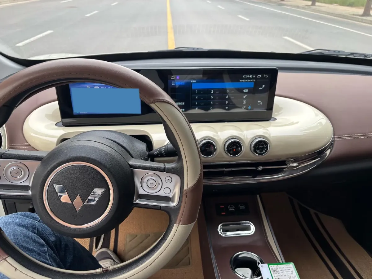 2023 WuLing BinGuo BEV 31.9KWH,autocango,china used car exporter,china ev exporter,chinese used car exporter,chinese used ev exporter