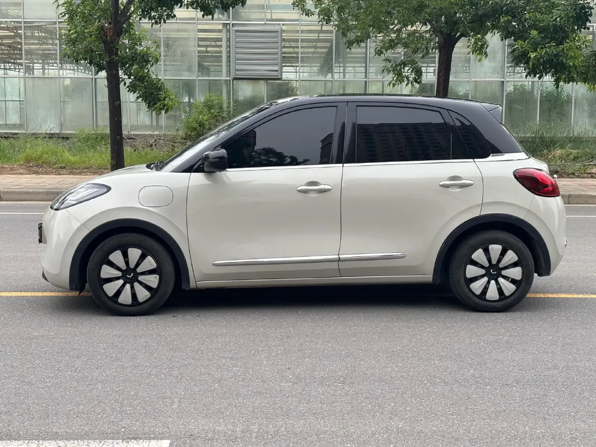2023 WuLing BinGuo BEV 31.9KWH,autocango,china used car exporter,china ev exporter,chinese used car exporter,chinese used ev exporter