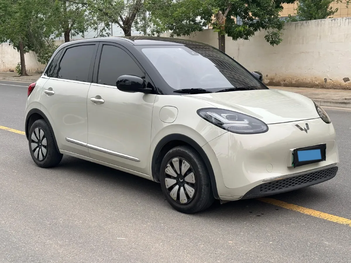 2023 WuLing BinGuo BEV 31.9KWH,autocango,china used car exporter,china ev exporter,chinese used car exporter,chinese used ev exporter