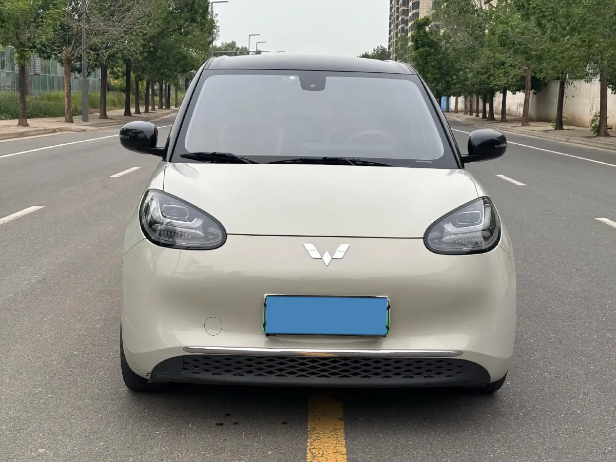 2023 WuLing BinGuo BEV 31.9KWH,autocango,china used car exporter,china ev exporter,chinese used car exporter,chinese used ev exporter
