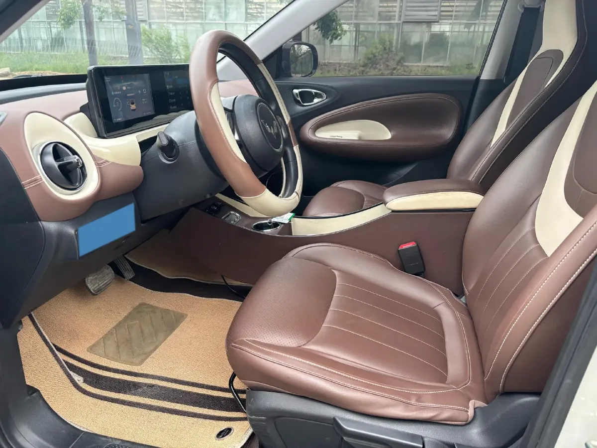 2023 WuLing BinGuo BEV 31.9KWH,autocango,china used car exporter,china ev exporter,chinese used car exporter,chinese used ev exporter