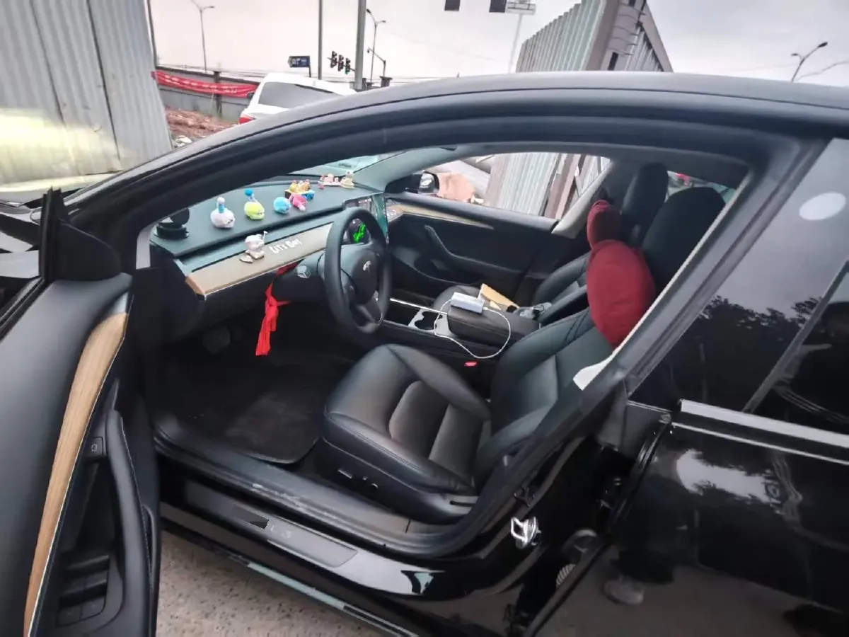 2021 Tesla Model 3 BEV 55KWH,autocango,china used car exporter,china ev exporter,chinese used car exporter,chinese used ev exporter