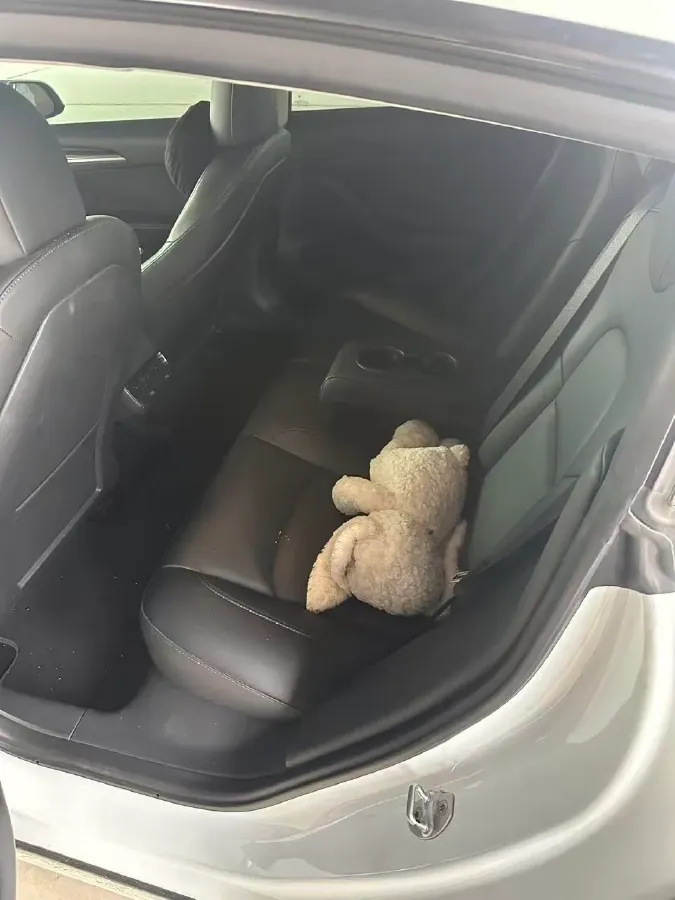 2021 Tesla Model 3 BEV 76.8KWH,autocango,china used car exporter,china ev exporter,chinese used car exporter,chinese used ev exporter