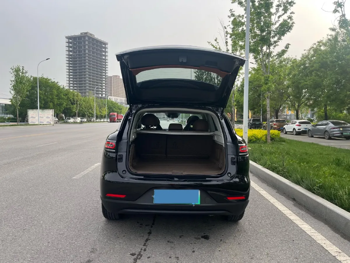 2023 Leapmotor C11 1.5L 95HP L4 REEV 30.1KWH,autocango,china used car exporter,china ev exporter,chinese used car exporter,chinese used ev exporter