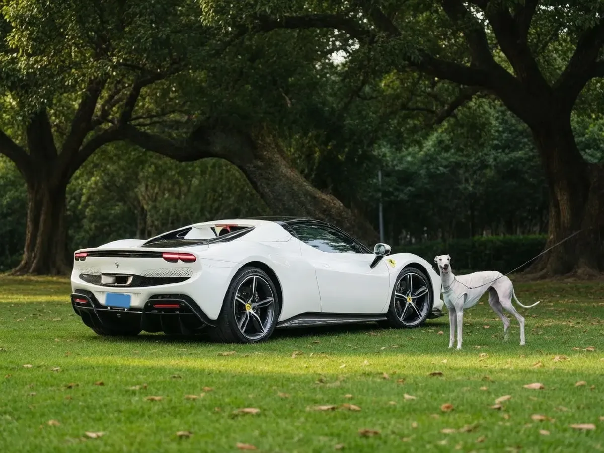 2021 Ferrari 296 3.0T 663HP V6 8DCT PHEV 7.45KWH,autocango,china used car exporter,china ev exporter,chinese used car exporter,chinese used ev exporter