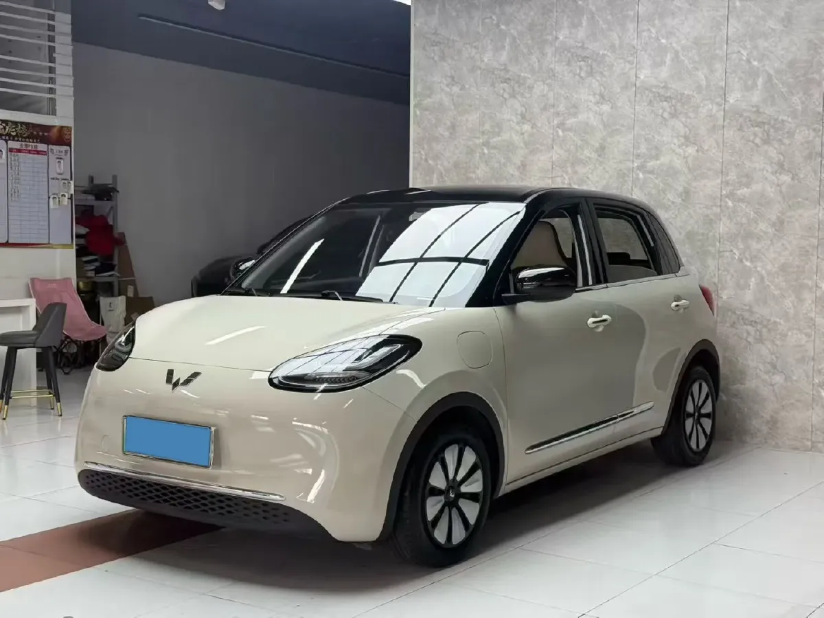 2023 WuLing BinGuo BEV 31.9KWH,autocango,china used car exporter,china ev exporter,chinese used car exporter,chinese used ev exporter