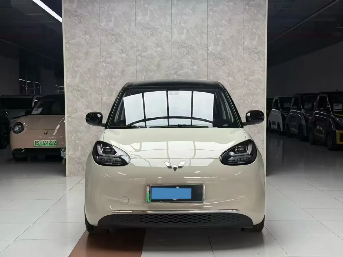 2023 WuLing BinGuo BEV 31.9KWH,autocango,china used car exporter,china ev exporter,chinese used car exporter,chinese used ev exporter