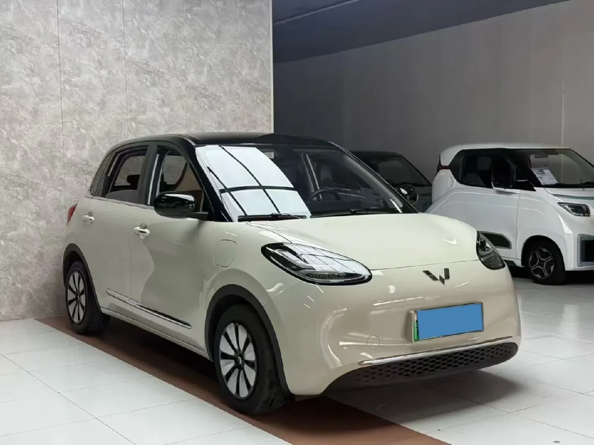 2023 WuLing BinGuo BEV 31.9KWH,autocango,china used car exporter,china ev exporter,chinese used car exporter,chinese used ev exporter