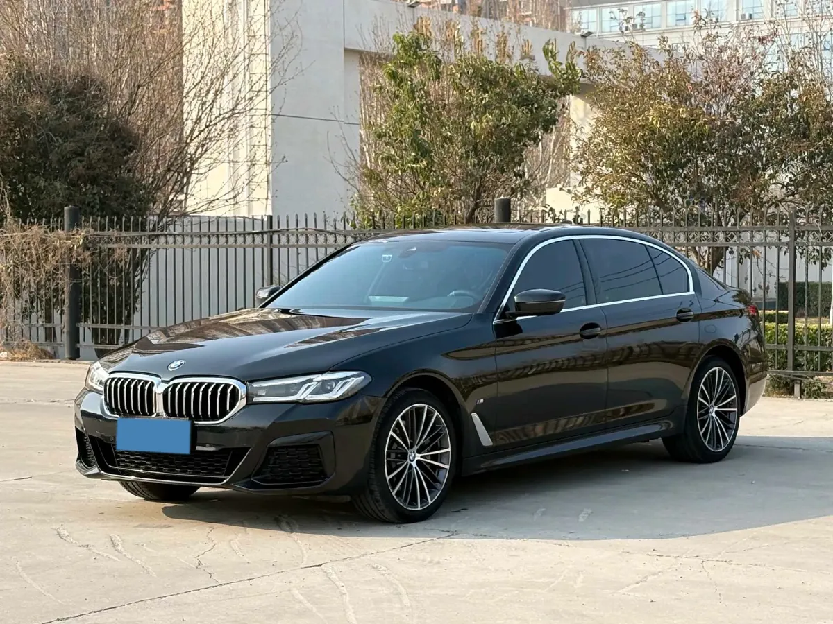 2023 BMW 5 Series 2.0T 245HP L4 8AT,autocango,china used car exporter,china ev exporter,chinese used car exporter,chinese used ev exporter