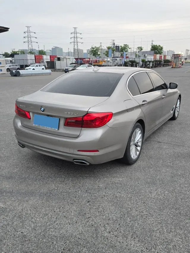 2020 BMW 5 Series 2.0T 252HP L4 8AT,autocango,china used car exporter,china ev exporter,chinese used car exporter,chinese used ev exporter