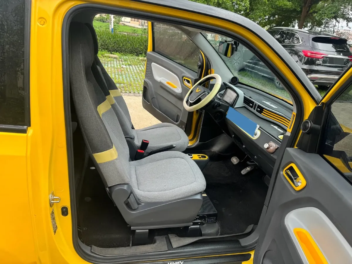 2021 WuLing HongGuang MINI EV BEV 9KWH,autocango,china used car exporter,china ev exporter,chinese used car exporter,chinese used ev exporter