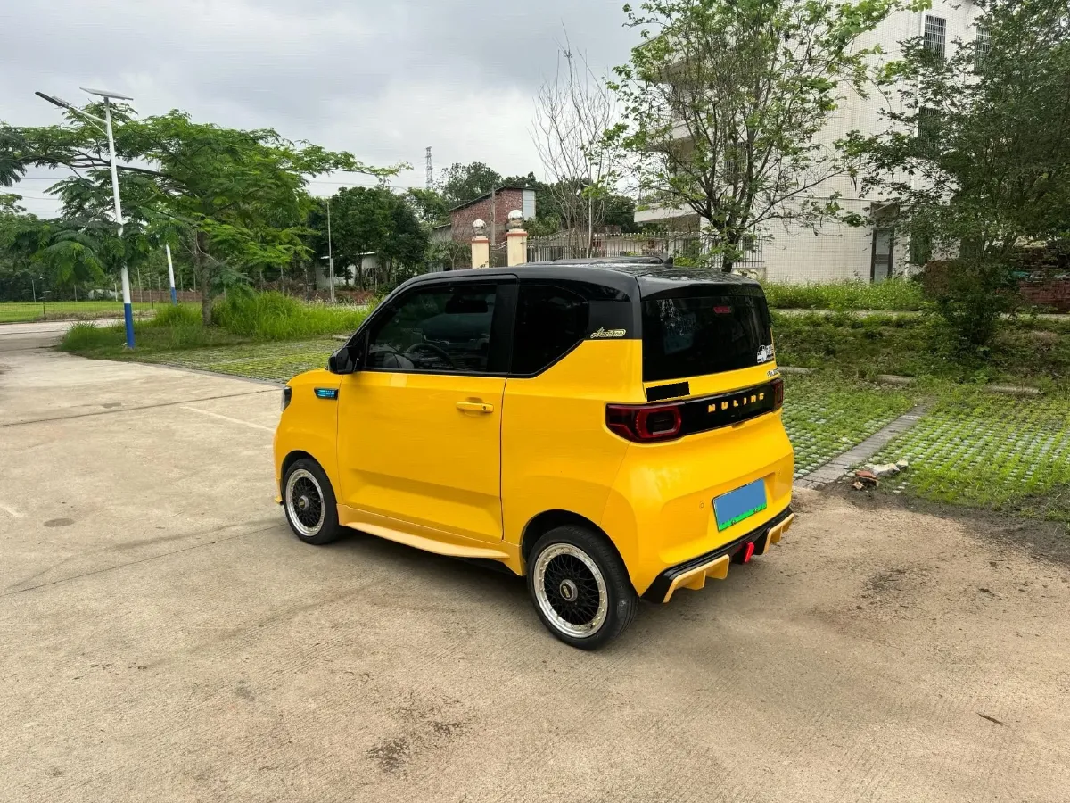 2021 WuLing HongGuang MINI EV BEV 9KWH,autocango,china used car exporter,china ev exporter,chinese used car exporter,chinese used ev exporter