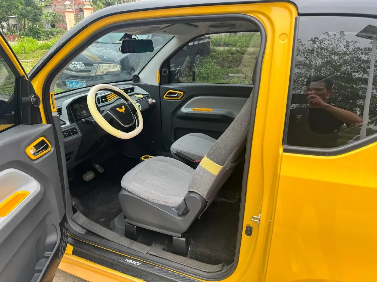 2021 WuLing HongGuang MINI EV BEV 9KWH,autocango,china used car exporter,china ev exporter,chinese used car exporter,chinese used ev exporter