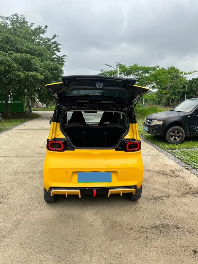 2021 WuLing HongGuang MINI EV BEV 9KWH,autocango,china used car exporter,china ev exporter,chinese used car exporter,chinese used ev exporter