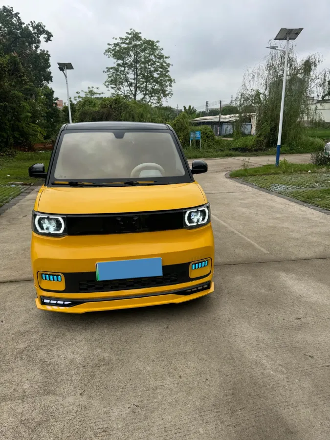 2021 WuLing HongGuang MINI EV BEV 9KWH,autocango,china used car exporter,china ev exporter,chinese used car exporter,chinese used ev exporter