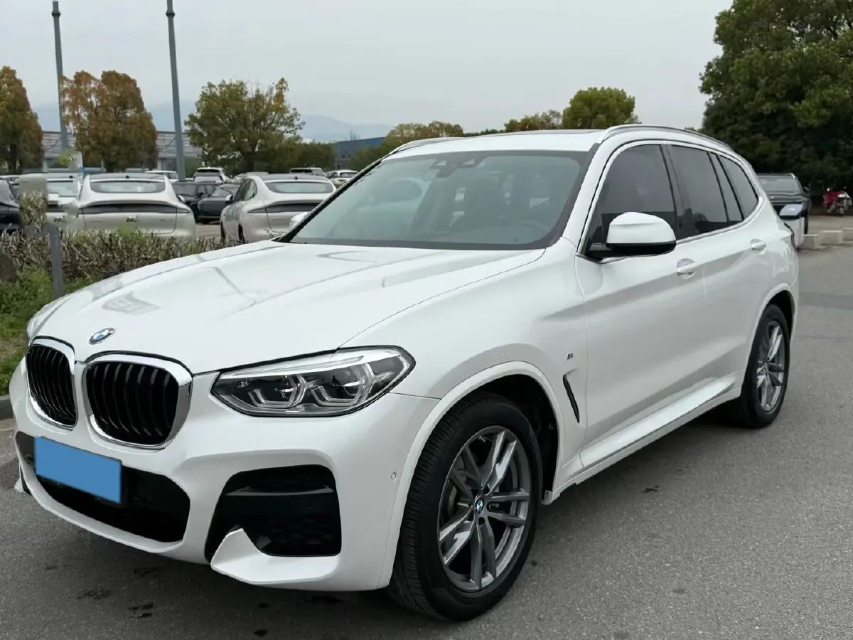 2021 BMW X3 2.0T 224HP L4 8AT,autocango,china used car exporter,china ev exporter,chinese used car exporter,chinese used ev exporter