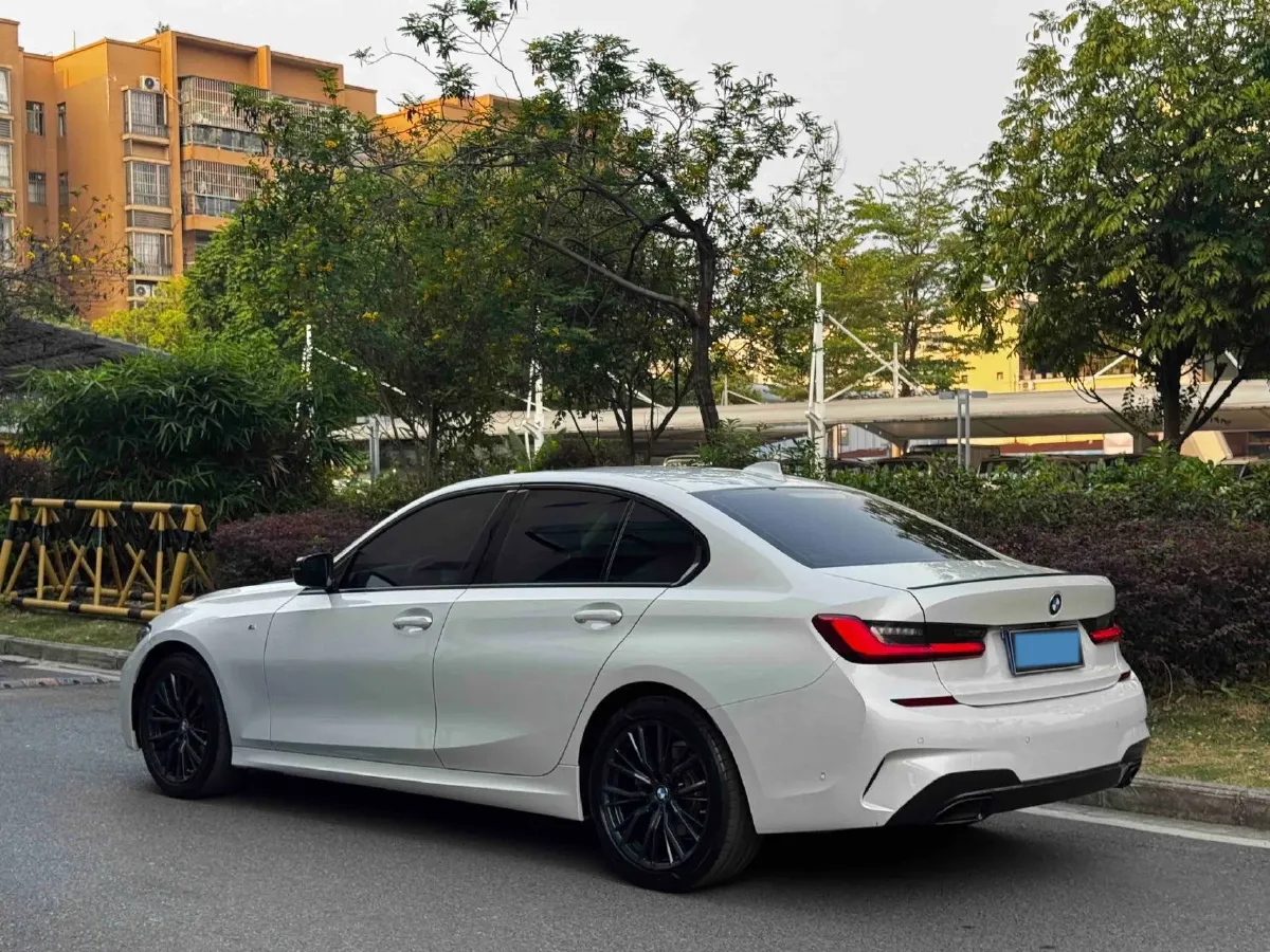 2020 BMW 3 Series 2.0T 184HP L4 8AT,autocango,china used car exporter,china ev exporter,chinese used car exporter,chinese used ev exporter