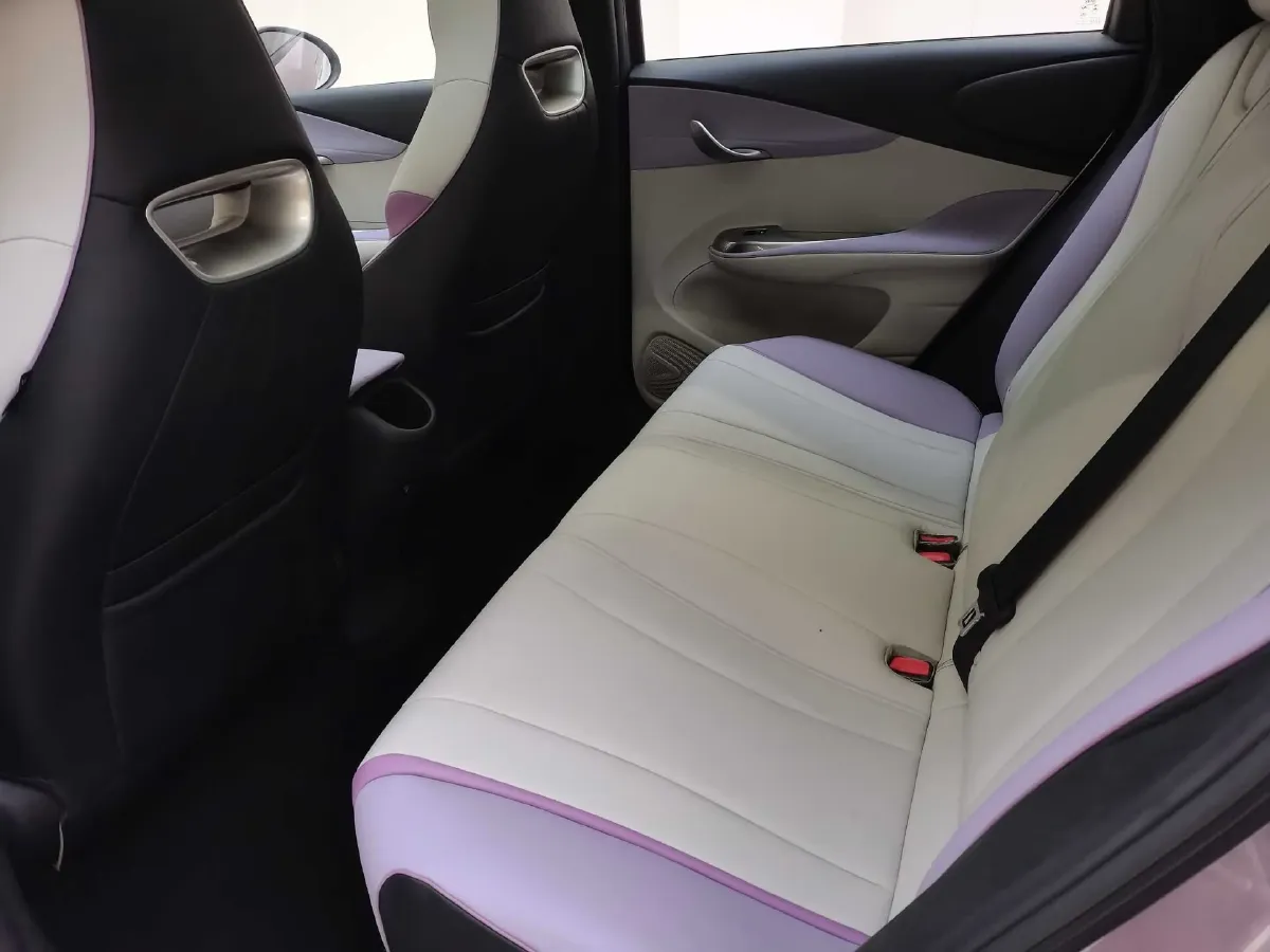 2021 BYD Yuan Pro BEV 50.1KWH,autocango,china used car exporter,china ev exporter,chinese used car exporter,chinese used ev exporter