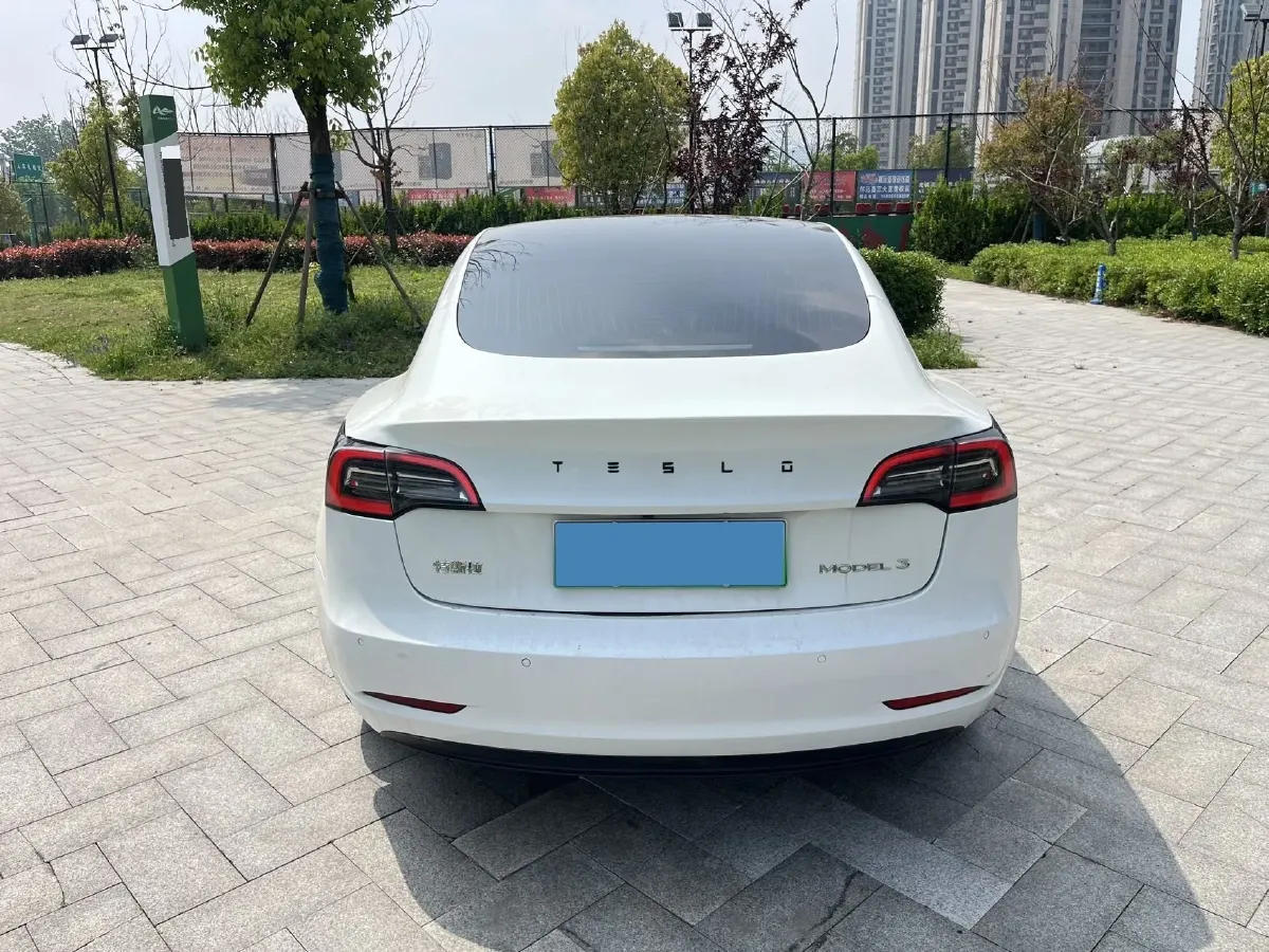 2021 Tesla Model 3 BEV 55KWH,autocango,china used car exporter,china ev exporter,chinese used car exporter,chinese used ev exporter