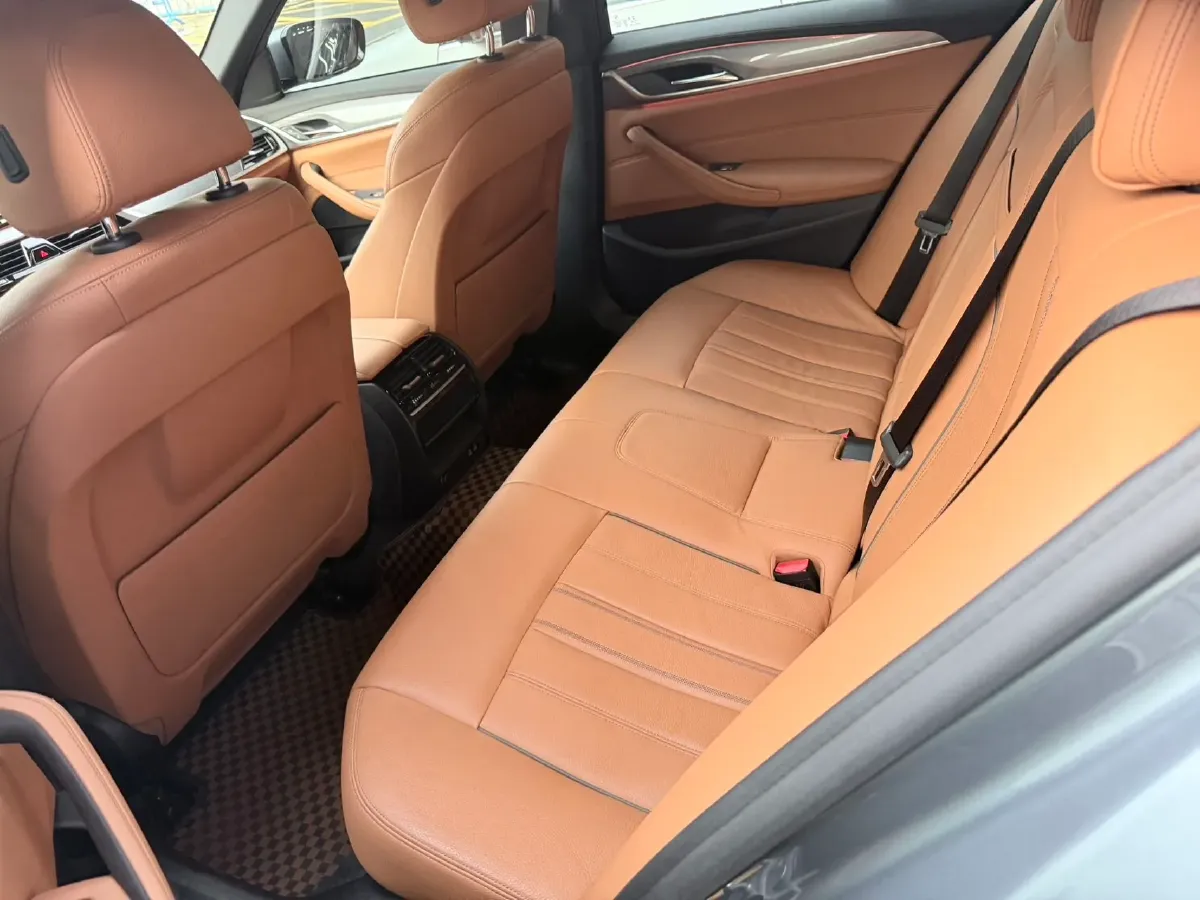 2020 BMW 5 Series 2.0T 184HP L4 8AT,autocango,china used car exporter,china ev exporter,chinese used car exporter,chinese used ev exporter