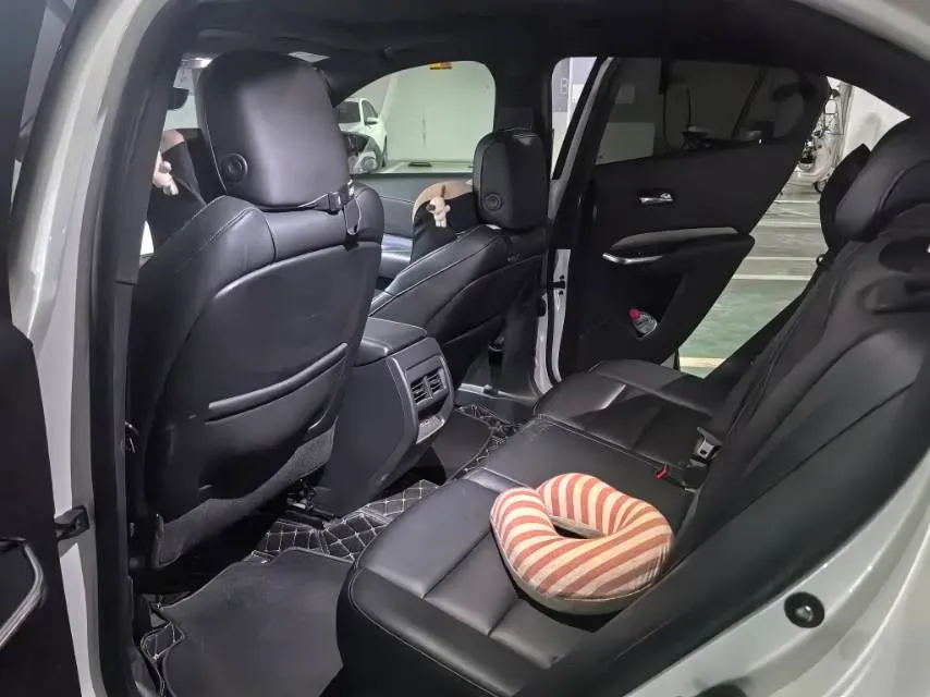 2020 Cadillac XT4 2.0T 241HP L4 9AT,autocango,china used car exporter,china ev exporter,chinese used car exporter,chinese used ev exporter