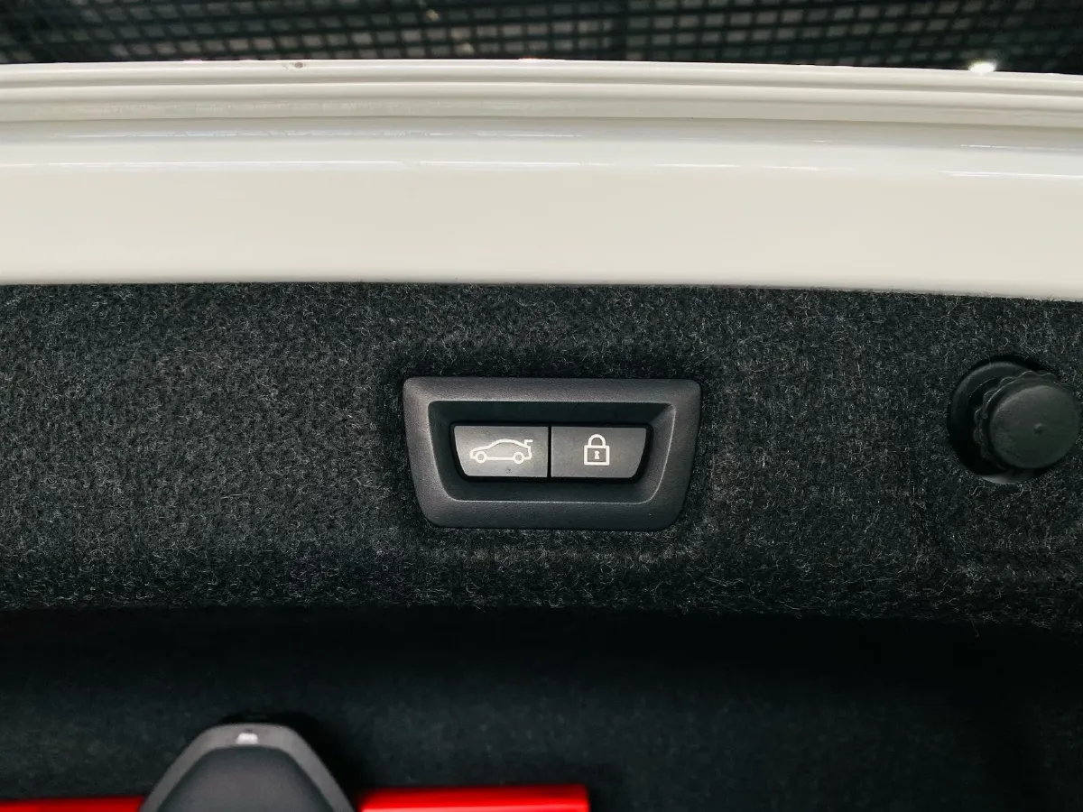 2021 BMW 5 Series 2.0T 184HP L4 8AT PHEV 17.7KWH,autocango,china used car exporter,china ev exporter,chinese used car exporter,chinese used ev exporter