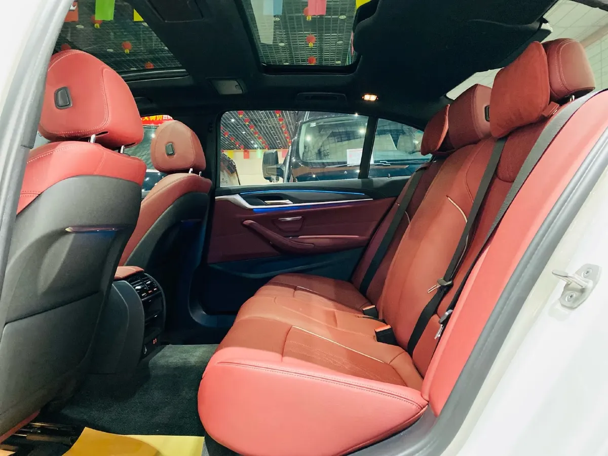 2021 BMW 5 Series 2.0T 184HP L4 8AT PHEV 17.7KWH,autocango,china used car exporter,china ev exporter,chinese used car exporter,chinese used ev exporter