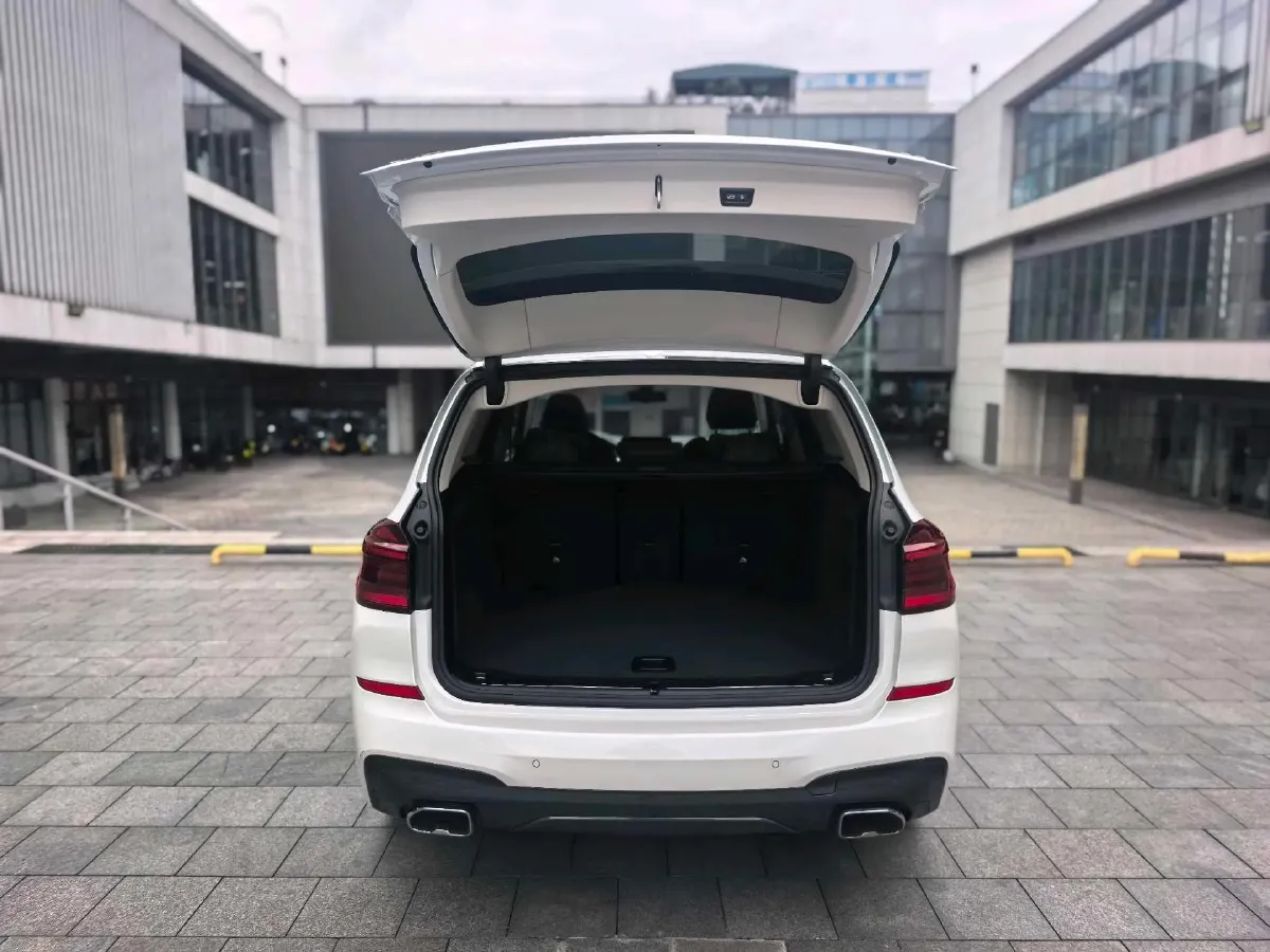 2021 BMW X3 2.0T 224HP L4 8AT,autocango,china used car exporter,china ev exporter,chinese used car exporter,chinese used ev exporter