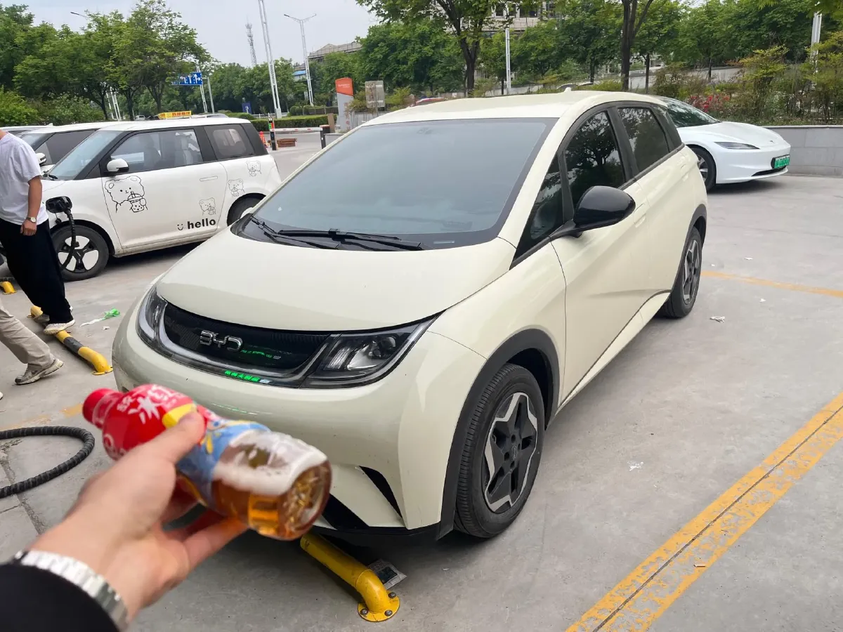 2025 BYD Dolphin BEV 44.928KWH,autocango,china used car exporter,china ev exporter,chinese used car exporter,chinese used ev exporter