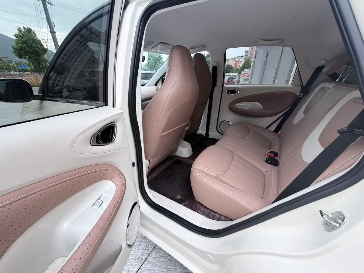 2025 WuLing BinGuo BEV,autocango,china used car exporter,china ev exporter,chinese used car exporter,chinese used ev exporter