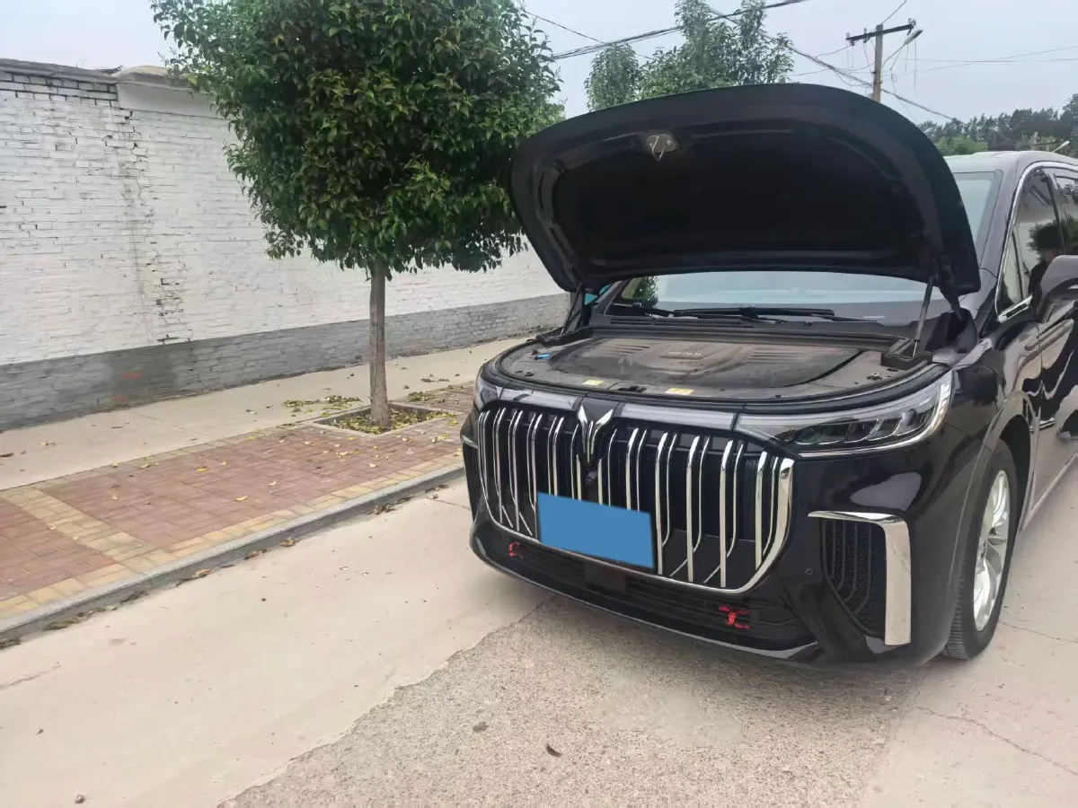 2024 Voyah Dream 1.5T 150HP L4 PHEV 43KWH,autocango,china used car exporter,china ev exporter,chinese used car exporter,chinese used ev exporter