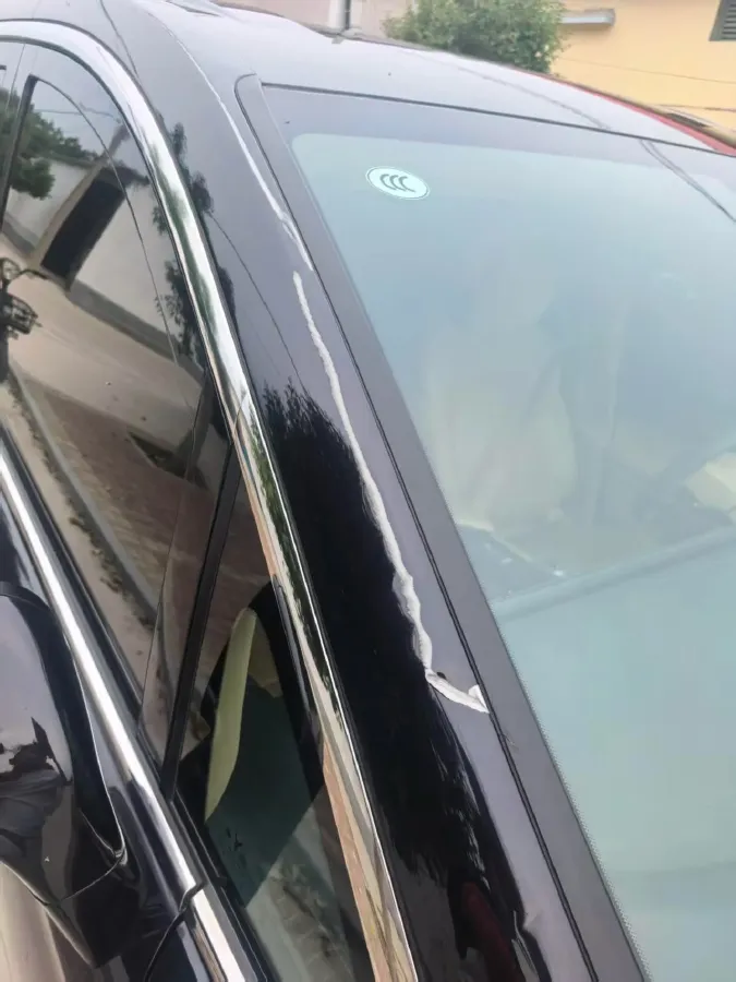 2024 Voyah Dream 1.5T 150HP L4 PHEV 43KWH,autocango,china used car exporter,china ev exporter,chinese used car exporter,chinese used ev exporter