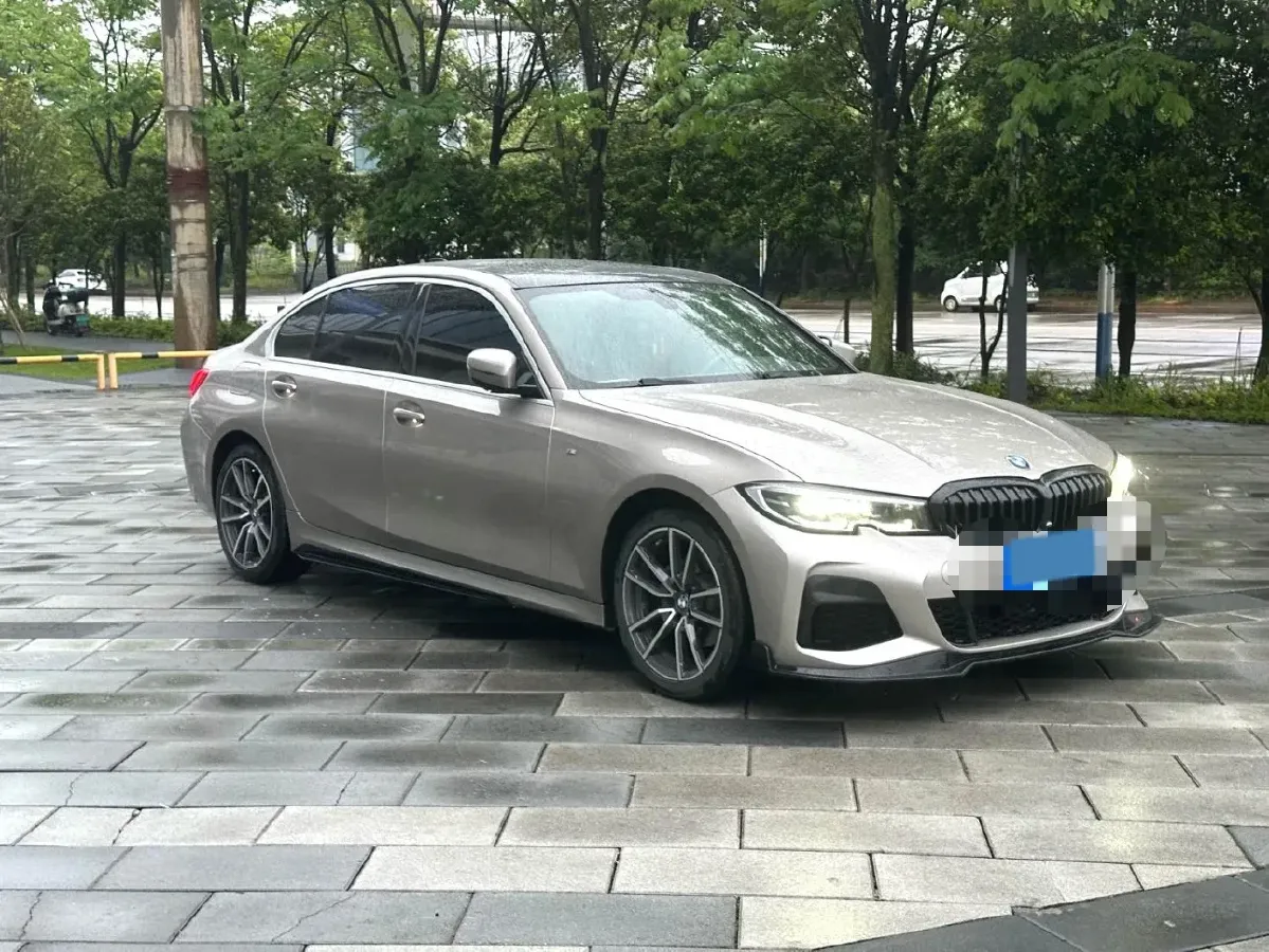2020 BMW 3 Series 2.0T 156HP L4 8AT,autocango,china used car exporter,china ev exporter,chinese used car exporter,chinese used ev exporter