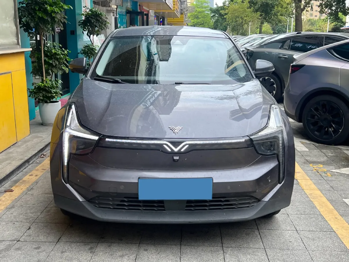 2021 DongFeng FuKang e Elysee BEV 38.4KWH,autocango,china used car exporter,china ev exporter,chinese used car exporter,chinese used ev exporter